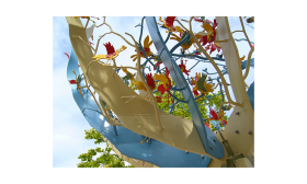 singing tree