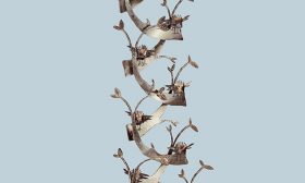 birds in a tree