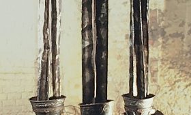 cactus hatstands